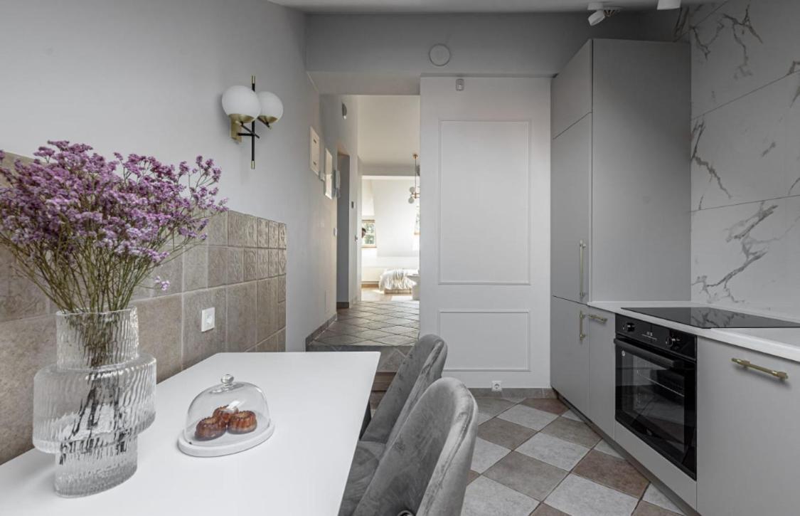Traku Street Apartment In Wilno Zewnętrze zdjęcie